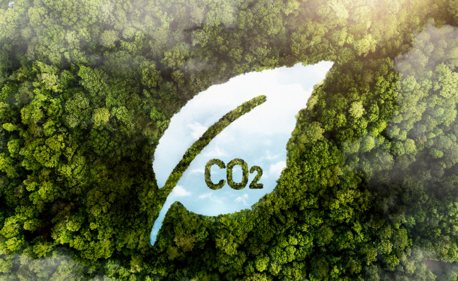 apa-itu-carbon-offset