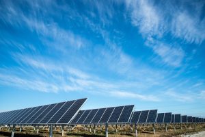 Perbedaan Biosolar dan Solar Serta Kelebihannya