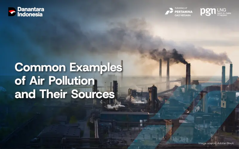 air-pollution-examples