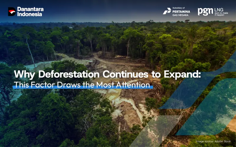 deforestation-continues-expand