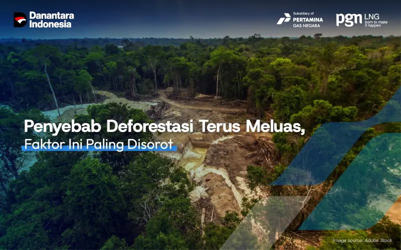penyebab-deforestasi-meluas