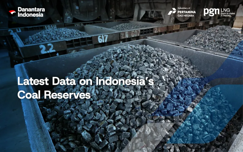 coal-reserve-data