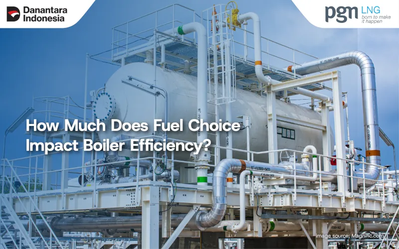 Fuel Choice Impact Boiler Efficiency