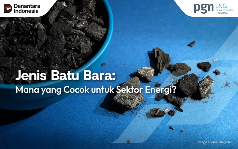 Jenis Batu Bara: Mana yang Cocok untuk Sektor Energi?