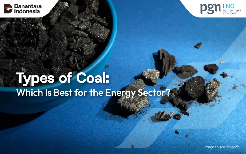 Types of Coal: Which Is Best for the Energy Sector?