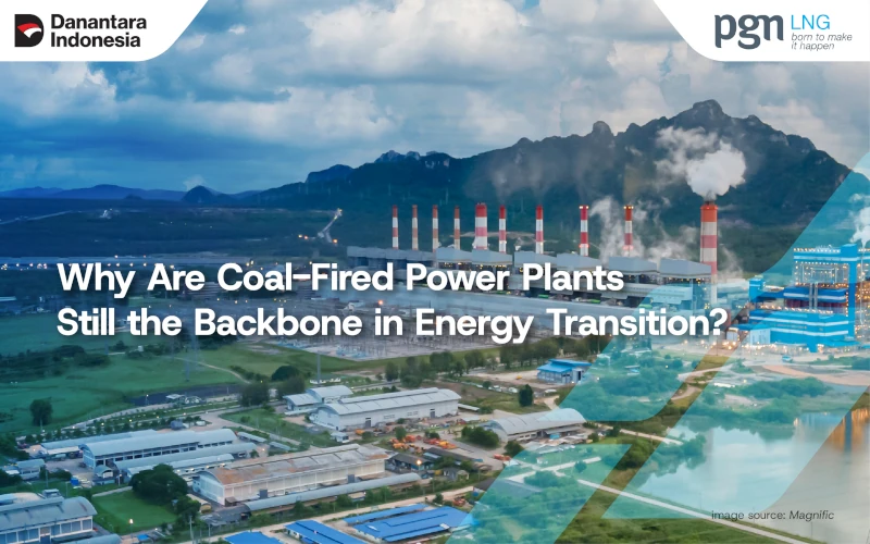 why-are-coal-fired-power-plants-still-the-backbone-in-energy-transition